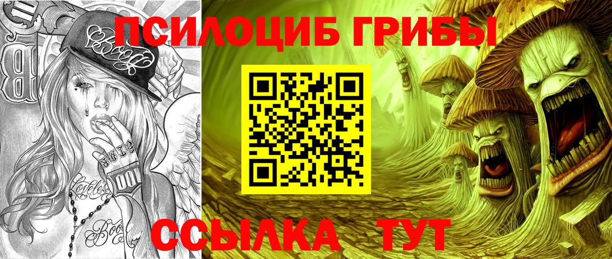 Псилоцибиновые грибы Cubensis  Вход с VPN  Малгобек  Псилоцибиновые грибы мухоморы 